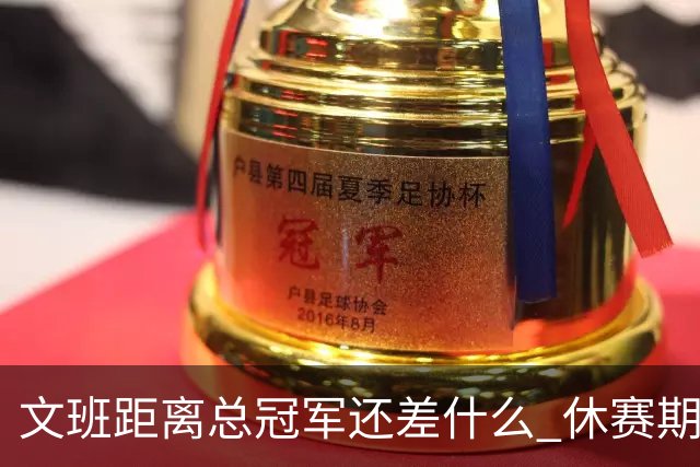 文班距离总冠军还差什么 休赛期救赎从增重开始？